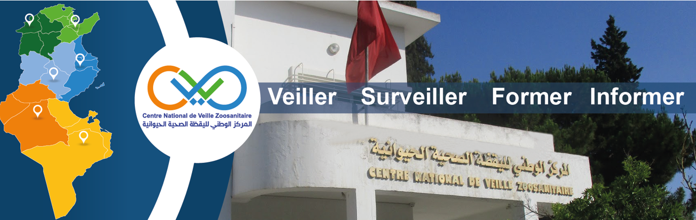 slideshow banner